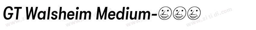 GT Walsheim Medium字体转换
